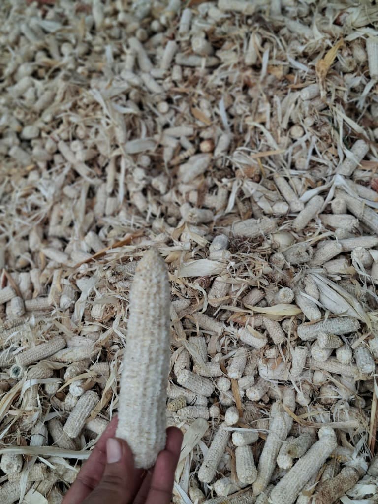 Raw Material Inspection